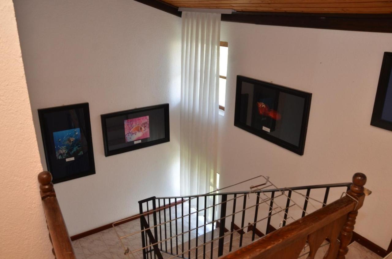 Vila Delfin Ohrid Extérieur photo